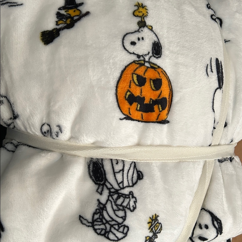Berkshire Peanuts Halloween Blanket with Characters - Picture 3 of 3